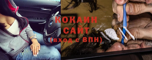 Альфа ПВП Лагань