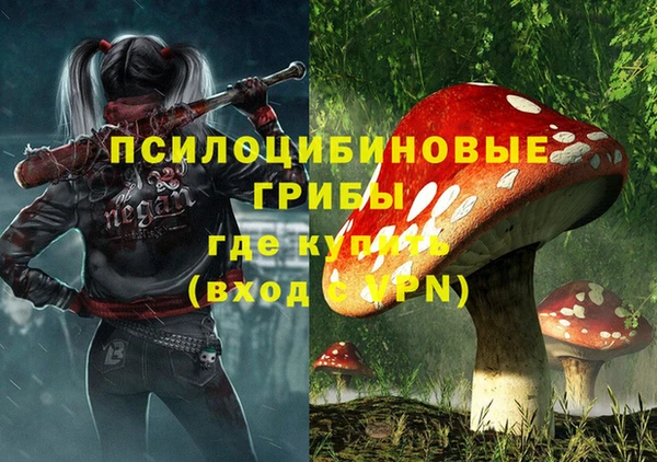 эйфоретик Кукмор