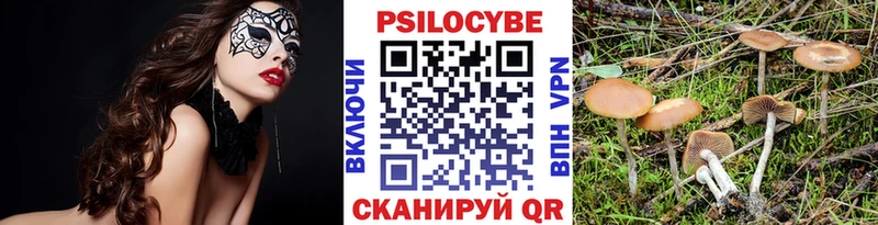 закладка  Лангепас  Галлюциногенные грибы Cubensis 